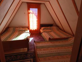 Apartmani ( VILA ) Vucko - 5