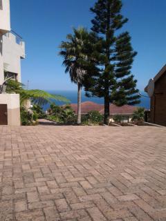 The Third Dolphin - Herolds Bay - 1