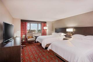 Sheraton Springfield Monarch Place Hotel - 1