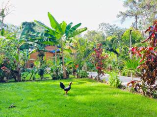 Villas Don Che, 2 villas - Jarabacoa - 5