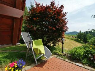 Finnish Chalet near Saxon Switzerland Park - Sebnitz - 6