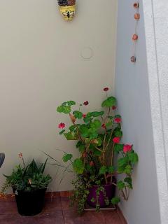Departamento Cerca Parque Termal Rodo-Hue 2 - Dolores - 6