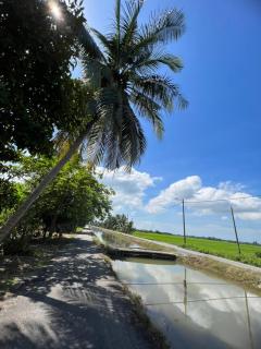 Rimbunan Padi Roomstay - Bagan Serai - 2