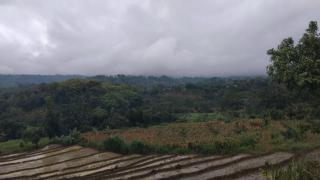 Puri kahuripan - Kediri - 6