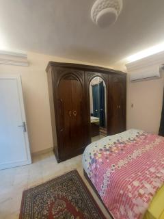 الجيزة شقة ذات غرفتين ترى النيل - Il Cairo - 6