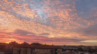 A Place in the Sun - Málaga - 4