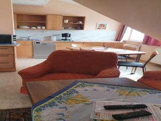 Large detached holiday home in Hesse with private garden and terrace - Homberg - 1