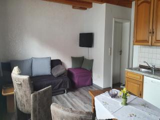 Large detached holiday home in Hesse with private garden and terrace - Homberg - 3