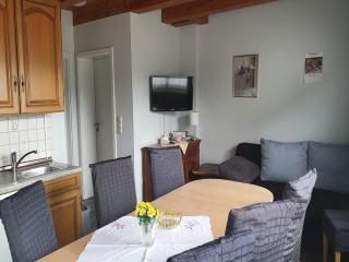 Large detached holiday home in Hesse with private garden and terrace - Homberg - 2