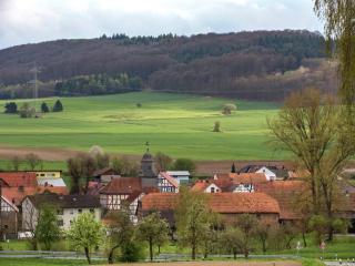 Large detached holiday home in Hesse with private garden and terrace - Homberg - 4