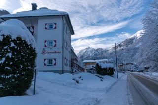 Diamond Forest - 8 Full Beds Summercard Included - Kaprun - 4
