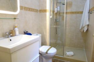 Álamos 45 histórico con confort - 5