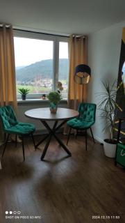 Traumblick FeWo mit Pool - Baiersbronn - 9