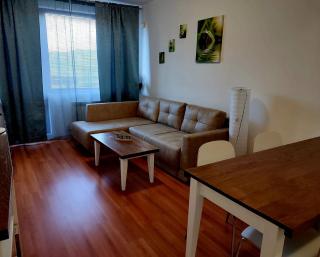 Bansko Belvedere Apartments - Bansko - 9