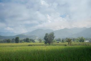 Camp View Mountain - Sell Experience By Paddy Fields Haven - Natures Nest - Pai - 3