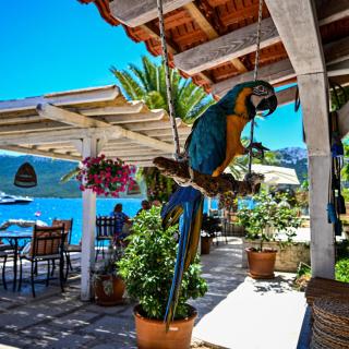 Villa Rava Hotel & restaurant - Rava - 5