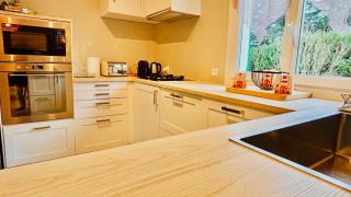 VILLA GIULIA 4-star 5min CDG Airport - 20min Disney - Gressy - 7