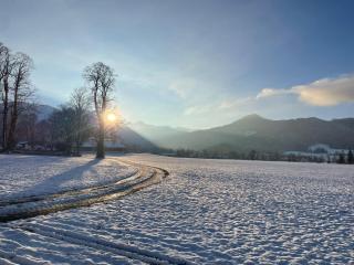 SeelenbaumlerIn - Schliersee - 9