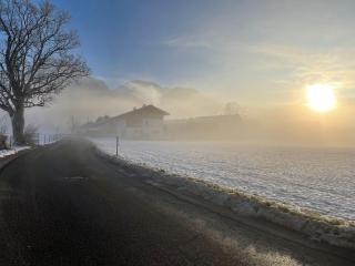 SeelenbaumlerIn - 7