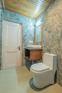 Hotel Country Side Manali - Bashist - 3