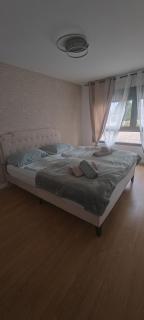 Bel Appartement moderne - - 1