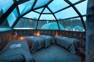 Arctic SnowHotel & Glass Igloos - Sinettä - 9