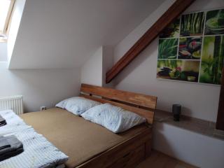 Apartmán Nerudovka - Kašperské Hory - 4