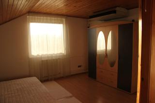 ribizli kucko - Budapest - 7