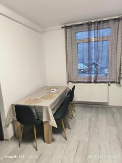 Mountain view - Baia Mare - 8