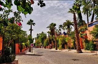 Vu imprenable sur les jardins Majorelle - 8
