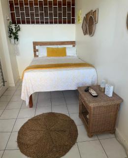 Munzels ocean view retreat 2 - Ocho Rios - 2