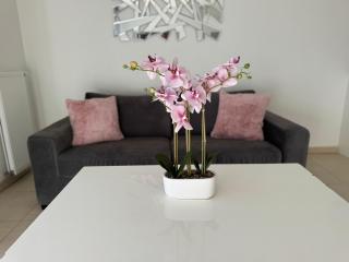 Appartement à Frejus avec piscine et terrasse - Fréjus - 8