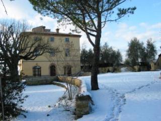 Terre di Nano - Monticchiello - 5