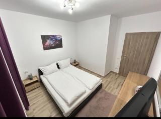 Apartament Teddy - 3