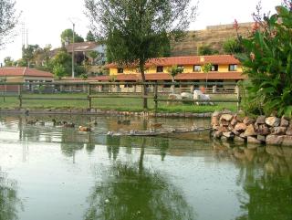 La Noria - Ciudad-Rodrigo - 7