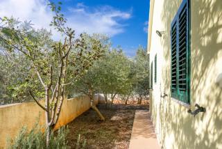 HOLIDAY HOUSE Ose - Mirce - 4