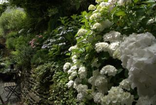 Au 13 du Faubourg de France à Bouillon, un cocon plein de charme - 3