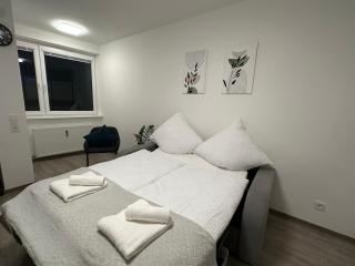 Zoe Apartment - Zell am See - 8