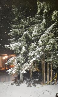 Brvnara Marinković na Sekulićima - 5