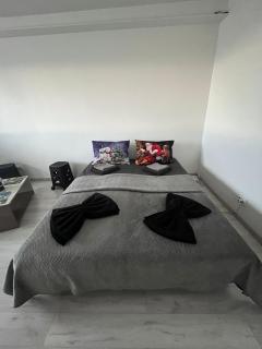 Apartment 2 camere 1,3 km Promenada Mall Capacitate 4 persoane - Craiova - 3