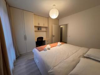 Un apartament confortabil - Brasov - 0