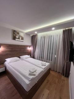 Andjela Apartman Zlatibor - Zlatibor - 5