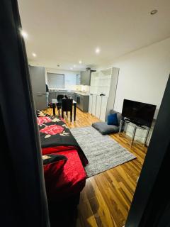 Kings Cross Nest 3 Bedroom Apartment - Londra - 8