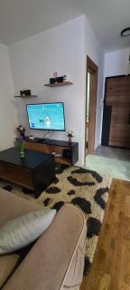 Harmony Zlatibor wellness&spa sa garažnim mestom - 5