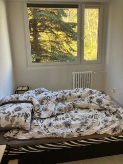 Apartmán u lesoparku - Praha Kobylisy - Praga - 1