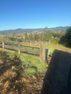 Paparoa Escape - Wainui - 5