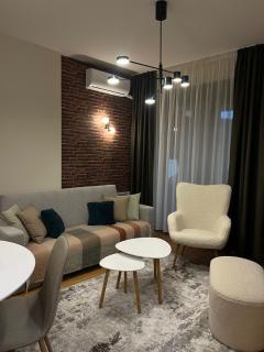 Apartman Forest MM - Zlatibor - 9