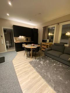 Cozy cuest house in Levi - 4