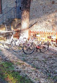 La casa dei breton - Magione - 2