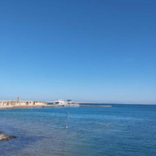 Avenue Alhambra - Hurghada - 3